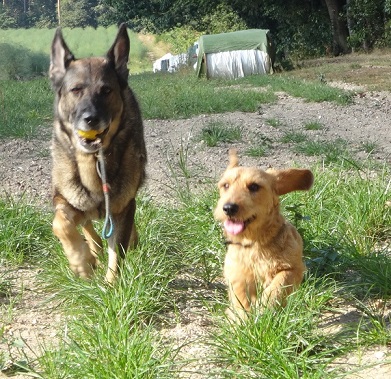 Yori en Ellert naast elkaar
